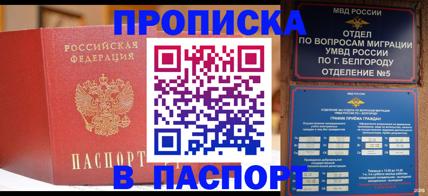 временная регистрация в квартире в Курганинске